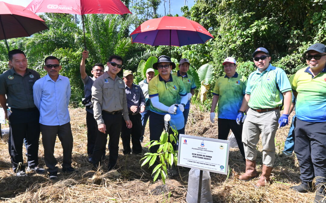 100 Million Tree Campaign